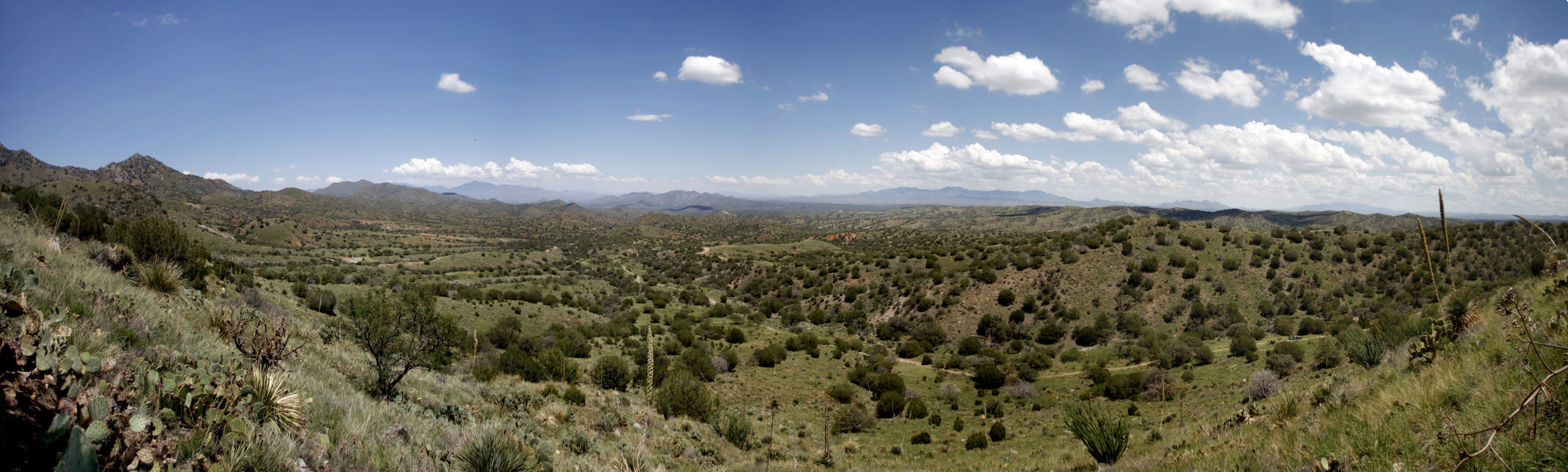 Rosemont Mine